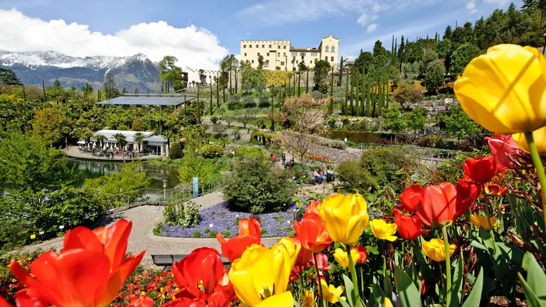 Castel Trautmannsdorff - il mondo dei giardini e della storia del turismo